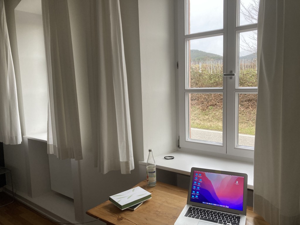 edenkoben, bild 01