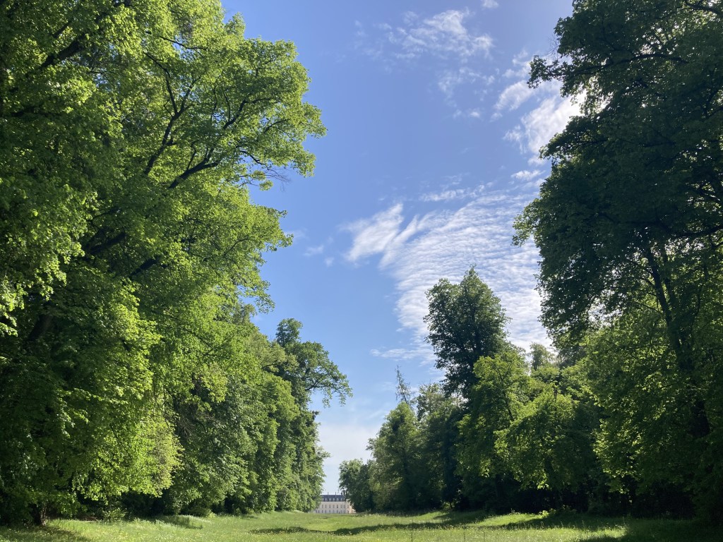 villers-cotterêts, bild 04